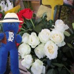 Garden Fete Insurance