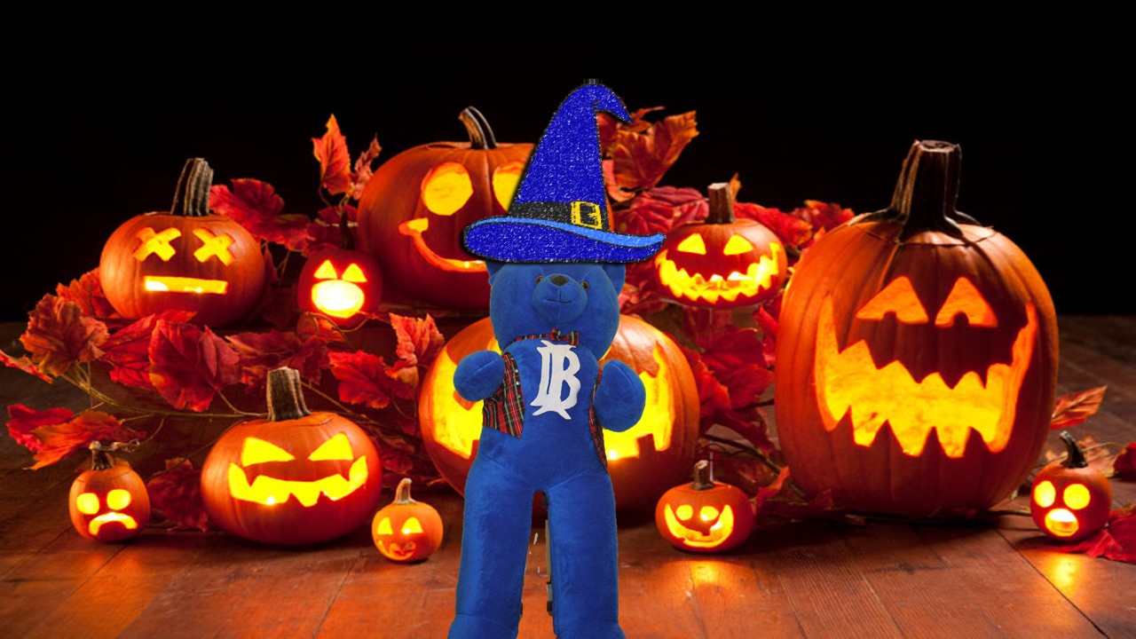 Halloween Festival Insurance Samhain Festival Insurance