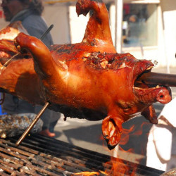 Pig on spit